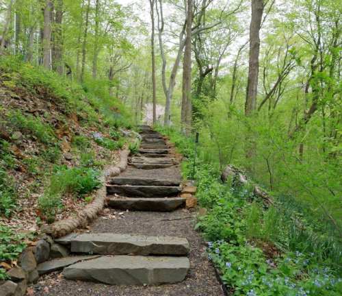 A stone pathway winds through a lush green forest, surrounded by trees and blooming flowers.