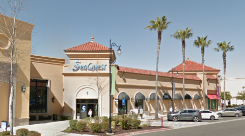 Exterior of SeaQuest aquarium with palm trees, blue sky, and people walking outside a shopping center.