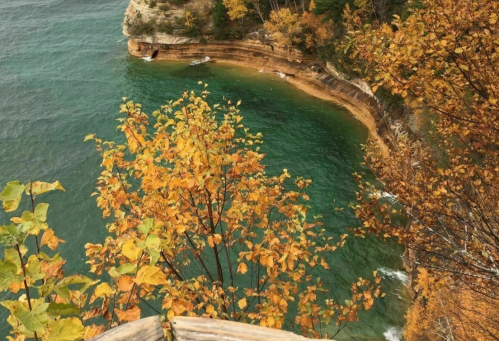Aerial view of a rocky shoreline with vibrant autumn foliage and calm turquoise waters.