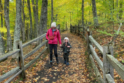 A woman and a child walk hand in hand along a forest path lined with colorful autumn leaves and wooden fences.