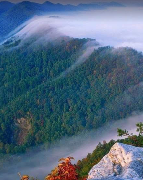A misty mountain landscape with lush greenery and fog rolling over the peaks, creating a serene atmosphere.