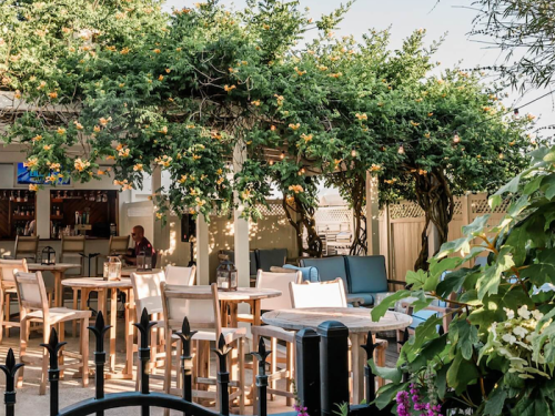Outdoor dining area with wooden tables, chairs, and lush greenery overhead, creating a cozy atmosphere.