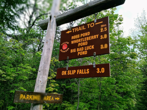 Trail sign indicating distances to Ross Pond, Whortleberry Pond, Big Bad Luck Pond, and Ok Slip Falls, surrounded by greenery.