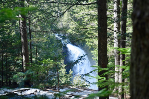 A waterfall cascades through a lush green forest, surrounded by tall trees and rocky terrain.