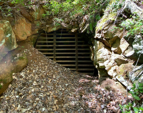 An entrance to a cave or mine, partially covered with leaves and surrounded by rocky terrain and greenery.