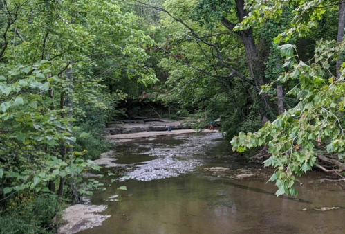 A serene creek surrounded by lush green trees and rocky banks, with a calm water surface reflecting the foliage.