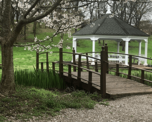 A wooden bridge leads to a white gazebo surrounded by greenery and blooming trees in a peaceful park setting.