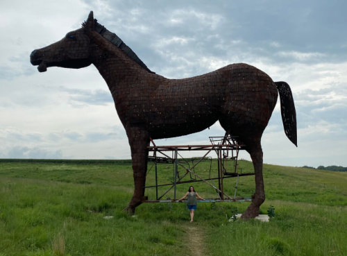 A person stands in front of a large, wooden horse sculpture on a grassy field under a cloudy sky.