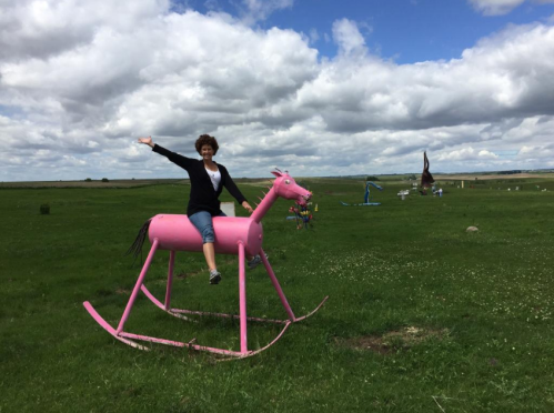 A person sits on a large pink rocking horse in a grassy field, waving with a cloudy sky in the background.