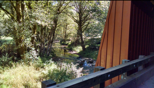 A serene view of a creek surrounded by trees, seen from the side of a covered bridge.