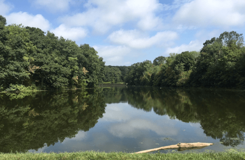 A serene lake surrounded by lush green trees, reflecting the sky and clouds above.