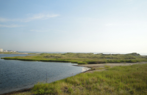 A serene coastal landscape featuring a calm waterway, grassy banks, and a clear blue sky.