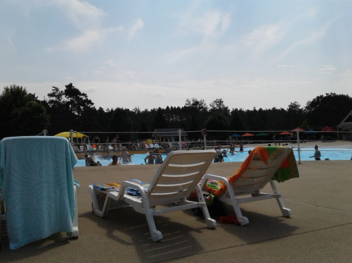 A sunny pool scene with lounge chairs, towels draped over them, and people swimming in the background.