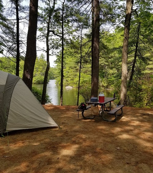 A tent set up by a serene river, surrounded by tall trees and a picnic table nearby.