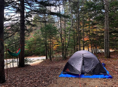 A tent set up in a forest clearing with trees and autumn foliage, alongside a hammock and a gravel path.