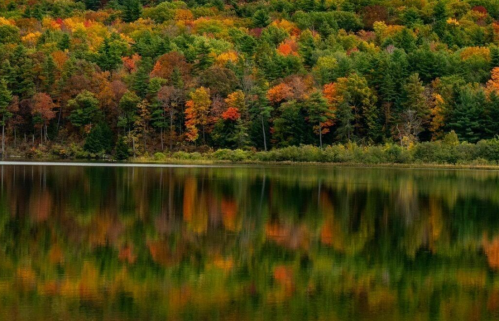 A serene lake reflecting vibrant autumn foliage in shades of red, orange, and green from surrounding trees.