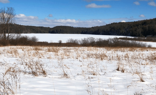 A snowy landscape with a frozen lake, surrounded by trees and hills under a blue sky with scattered clouds.