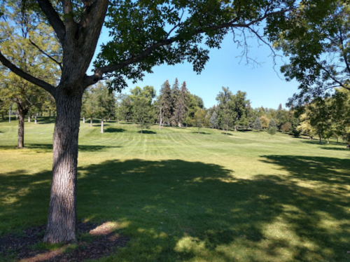 A sunny park scene with green grass, trees, and a clear blue sky.