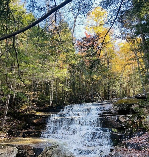 A serene waterfall cascades over rocks, surrounded by vibrant autumn foliage and tall trees in a peaceful forest setting.