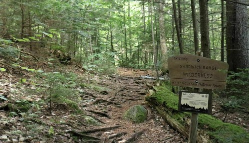A wooded trail in the Sandwich Range Wilderness, featuring a sign marking the entrance to the area.