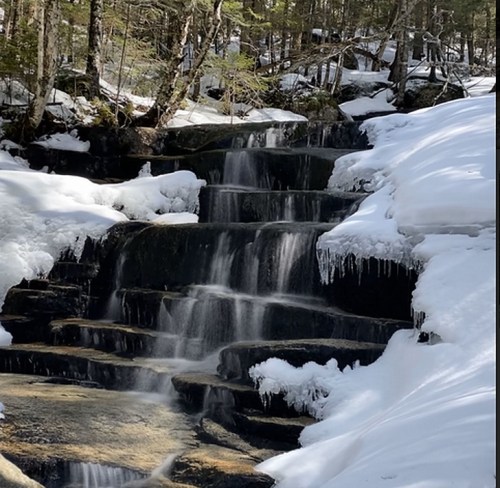 A serene waterfall cascades over rocky steps, surrounded by snow and trees in a tranquil forest setting.