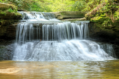 A serene waterfall cascading over rocks into a calm pool, surrounded by lush greenery.