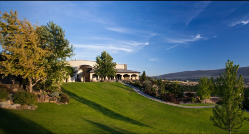 A scenic view of a landscaped property with a modern building, trees, and rolling green hills under a clear blue sky.