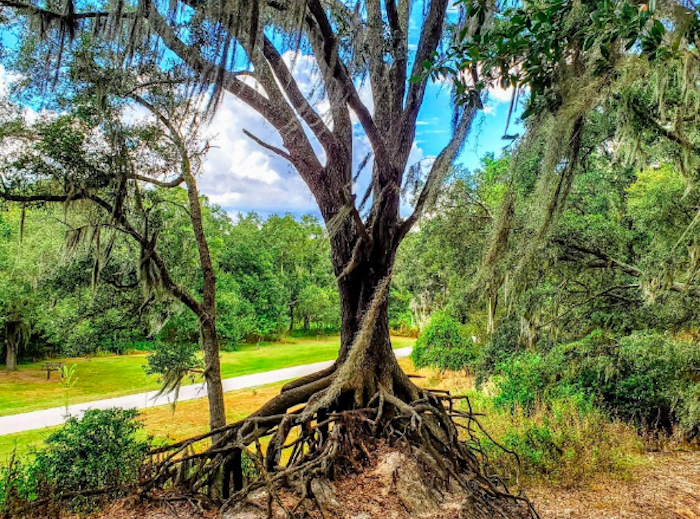 Edward Medard Regional Park