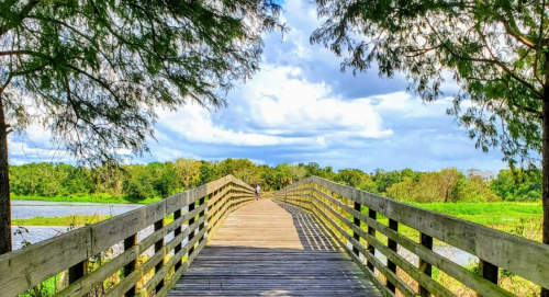 A wooden bridge leads through lush greenery under a bright, cloudy sky, inviting exploration of the scenic landscape.