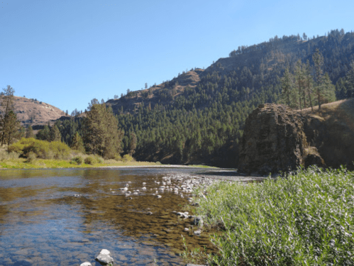 A serene river flows through a lush green landscape, surrounded by hills and trees under a clear blue sky.