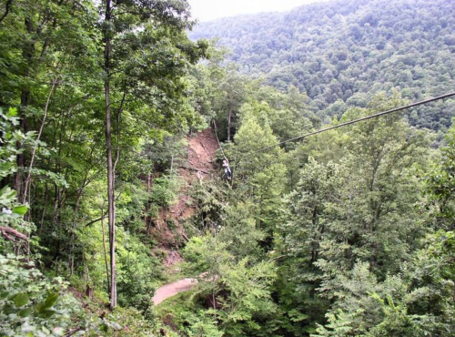 A zip line stretches over a lush green forest, with mountains in the background and a winding path below.