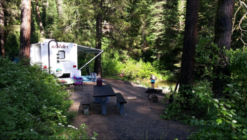 A campsite with a trailer, picnic table, and a person fishing by a creek surrounded by tall trees and greenery.