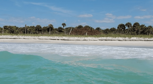 A serene beach scene with turquoise water, white sand, and palm trees under a clear blue sky.