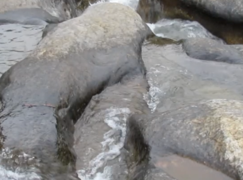 A close-up of smooth, wet rocks in a stream, with water gently flowing over them.
