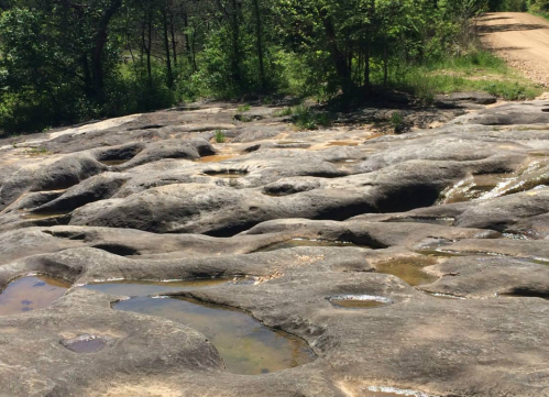 Rocky terrain with shallow pools of water, surrounded by greenery and a dirt path in the background.