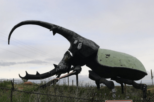 Giant metal sculpture of a beetle with large pincers, set against a cloudy sky and surrounded by grass and a fence.