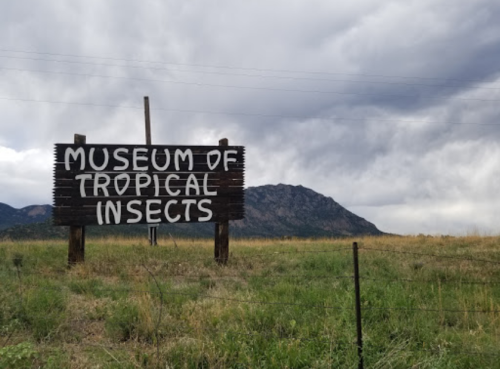 Sign for the Museum of Tropical Insects, set against a cloudy sky and mountainous landscape.
