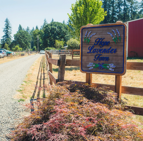 Sign for Hope Lavender Farm along a gravel road, surrounded by greenery and a wooden fence.