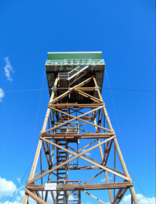 A tall wooden observation tower against a clear blue sky, with a ladder leading up to the platform.