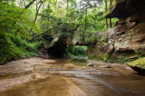 A serene forest scene featuring a rocky arch over a calm stream, surrounded by lush greenery and trees.