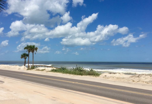 A scenic beach view with palm trees, sandy shore, and a calm ocean under a partly cloudy sky.