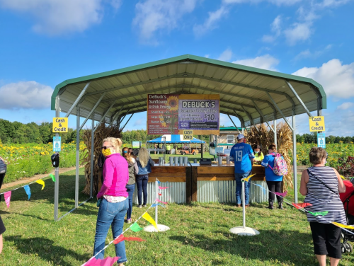A farm stand with a sign advertising sunflowers, surrounded by visitors and colorful flags on a sunny day.