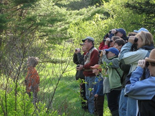 A group of people with cameras observing a child in an orange shirt in a lush, green outdoor setting.
