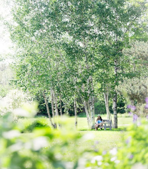 A person sits on a bench in a sunlit park surrounded by lush green trees and blooming flowers.
