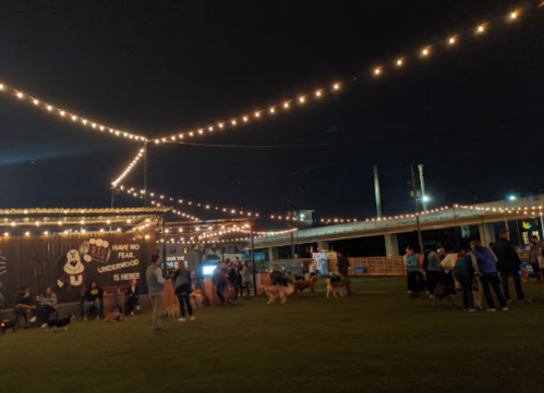 A lively outdoor event at night with string lights, people, and dogs enjoying the atmosphere.