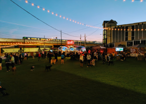 A lively outdoor gathering with people and dogs, string lights overhead, and a bar in the background at dusk.