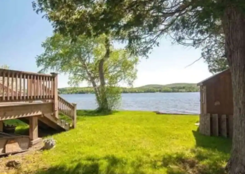 A serene lakeside view with green grass, a wooden deck, and trees under a clear blue sky.