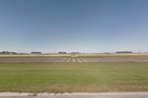 A wide view of flat farmland with rows of crops under a clear blue sky, bordered by green grass and a road.