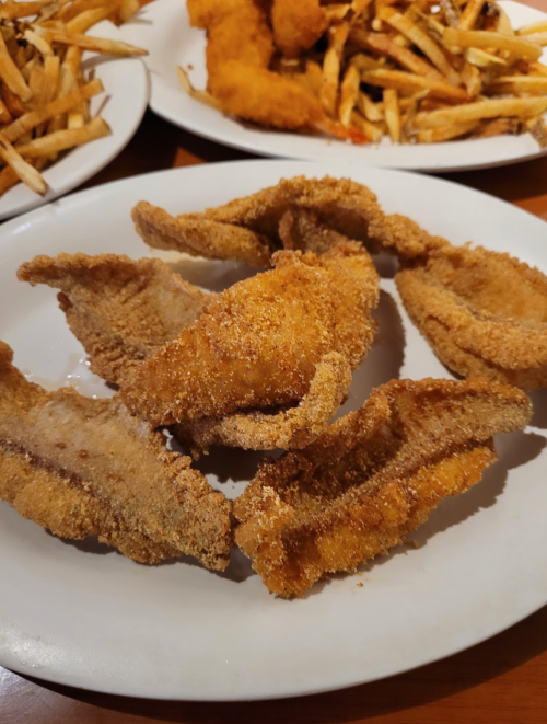A plate of golden-brown fried fish fillets arranged neatly, with crispy fries in the background.