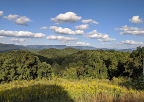 A scenic view of rolling green mountains under a blue sky with fluffy white clouds and a field of yellow flowers in the foreground.